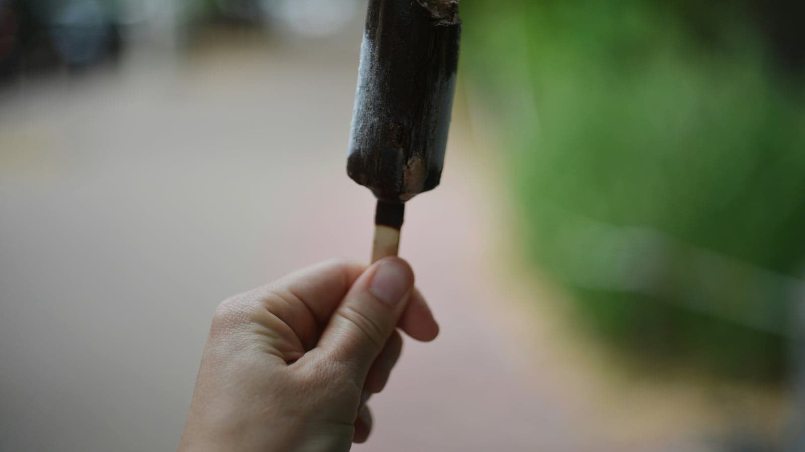 Hunde-Eis im Sommer — 3 simple Rezepte ohne Zucker