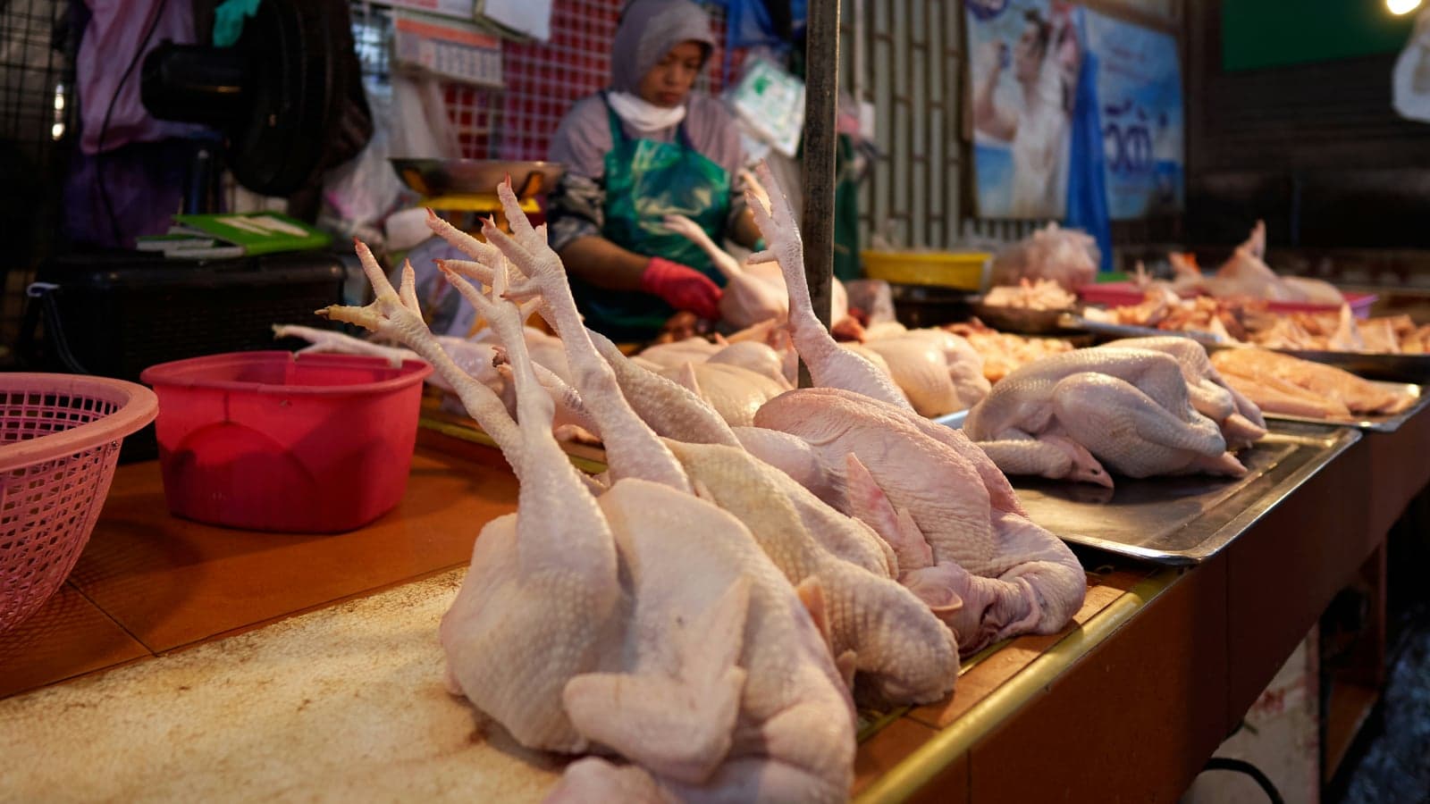 Welches Fleisch ist am besten für Hunde?